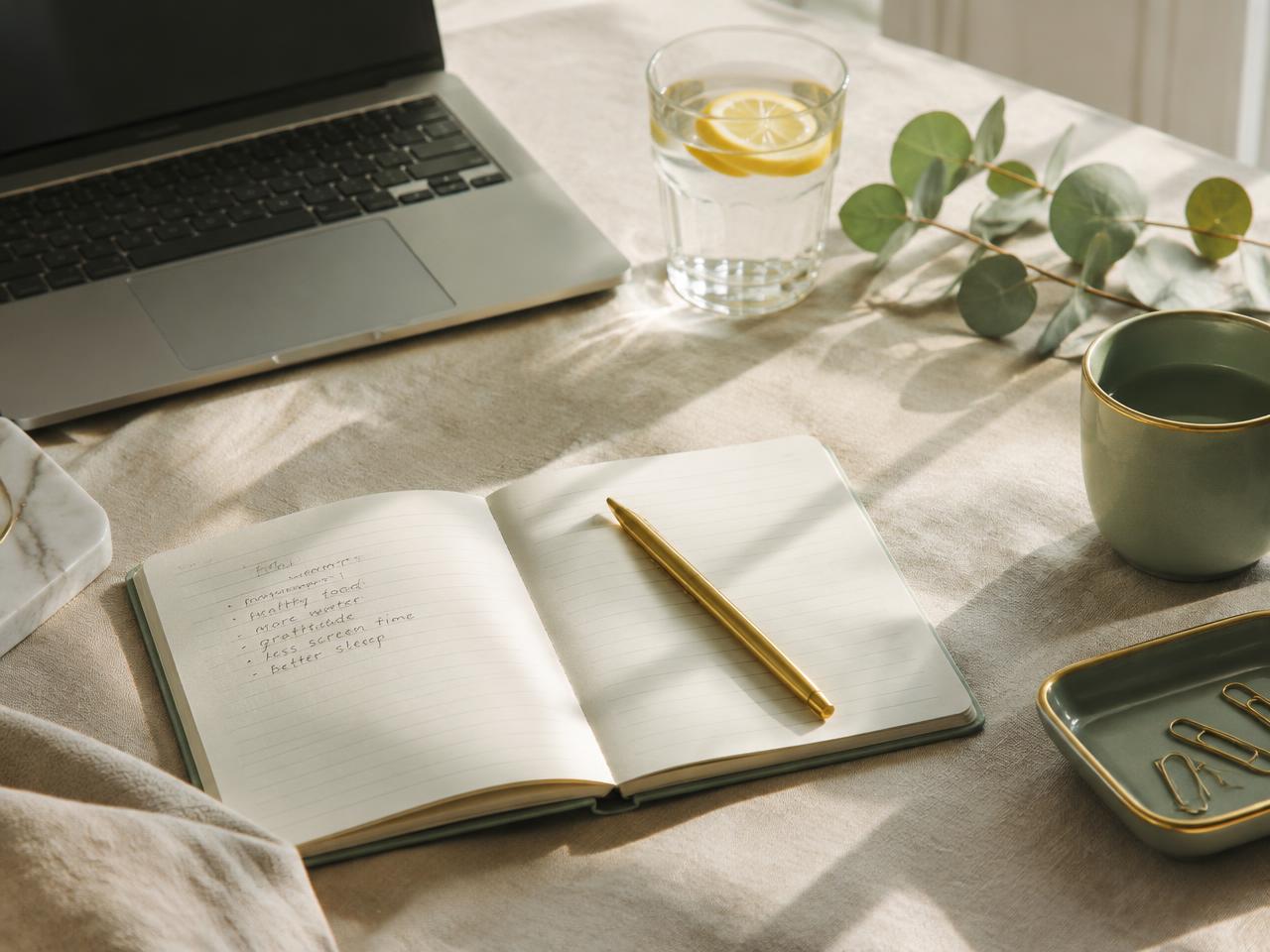 Notebook, water and eucalyptus on a sunlit desk